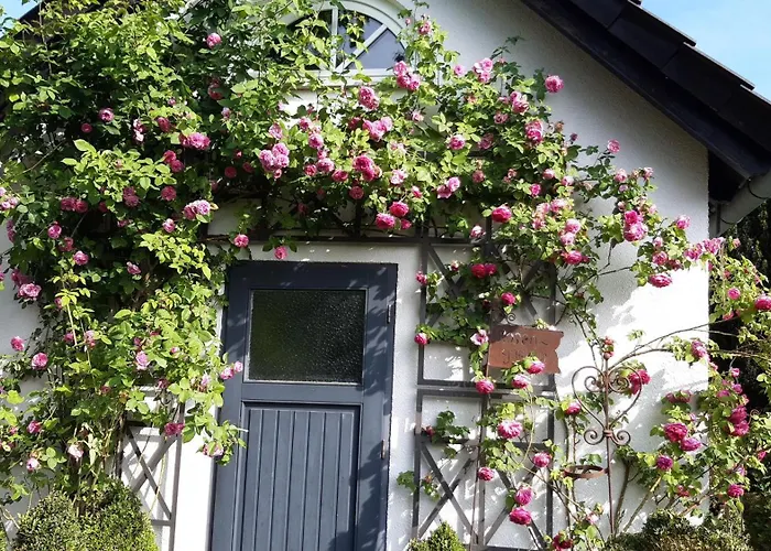 Tina\'S Home